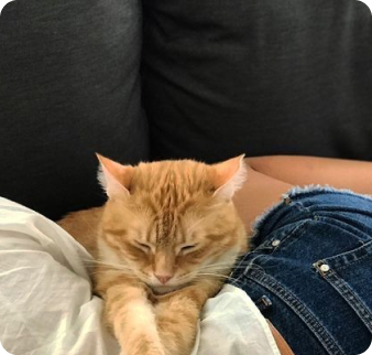 Summer Pet Pool Party